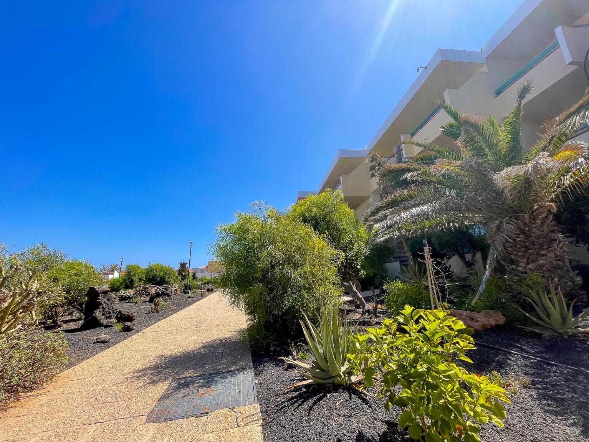 קוסטה דה אנטיגואה Casita Bonita - Bouganville Residence מראה חיצוני תמונה